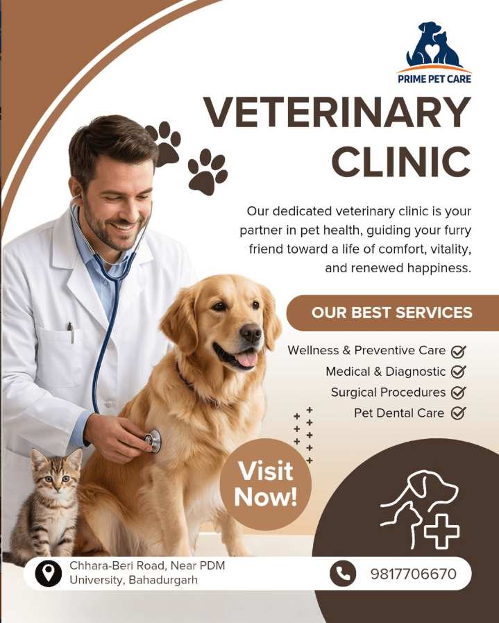 Prime Pet Care